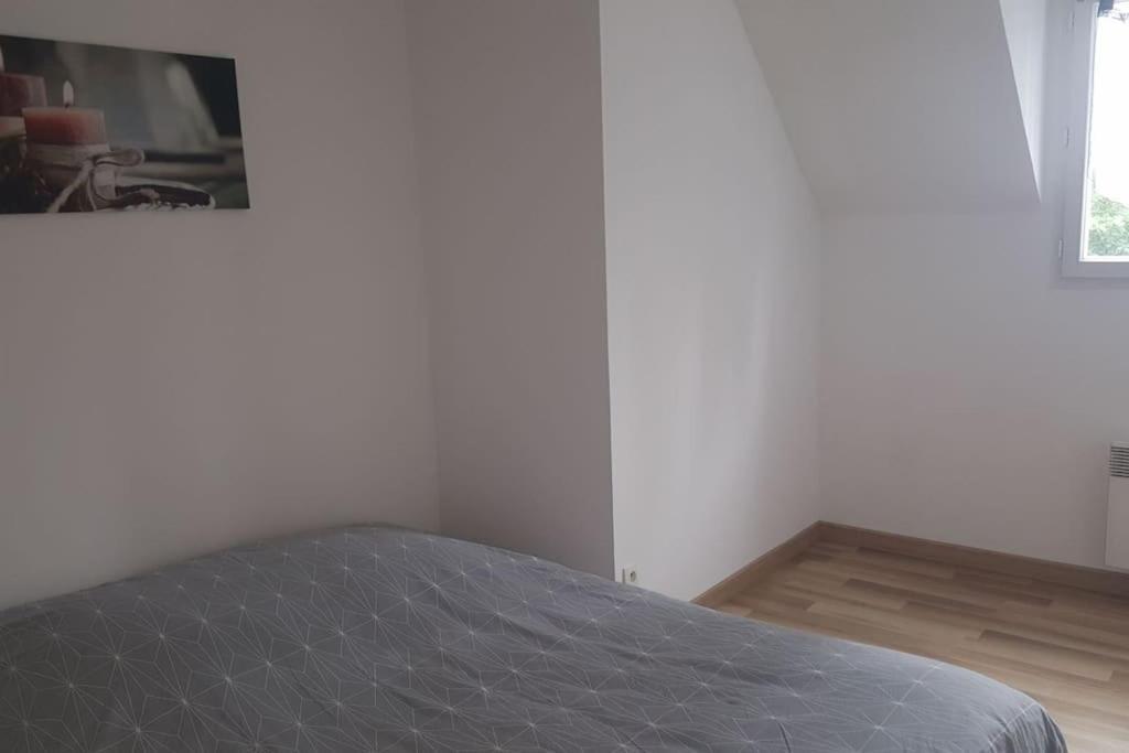 Logement Plein Centre De Plerin A Proximite Des Plages Et Des Commerces מראה חיצוני תמונה